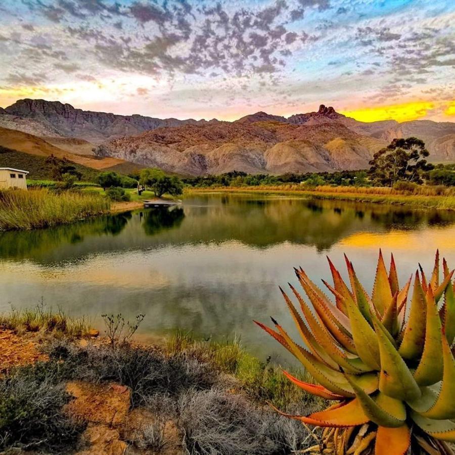Hotel Oaksrest Vineyards Guest Farm Ladismith Exterior foto