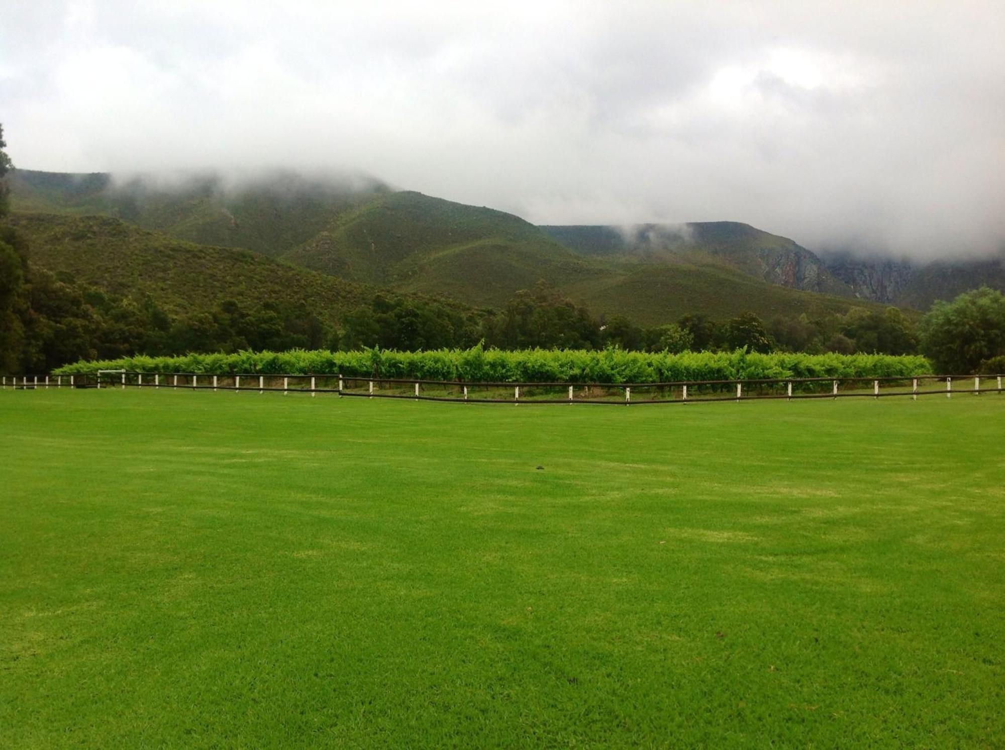 Hotel Oaksrest Vineyards Guest Farm Ladismith Exterior foto