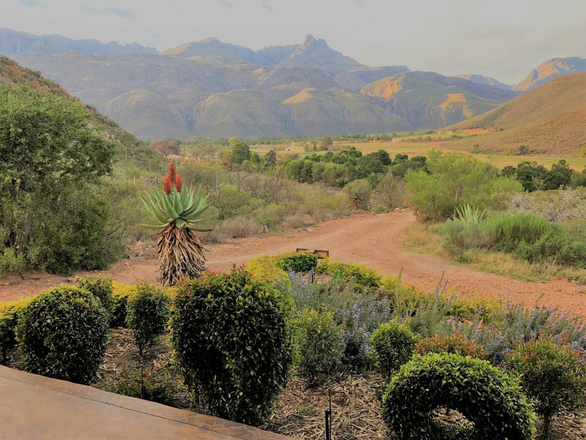 Hotel Oaksrest Vineyards Guest Farm Ladismith Exterior foto