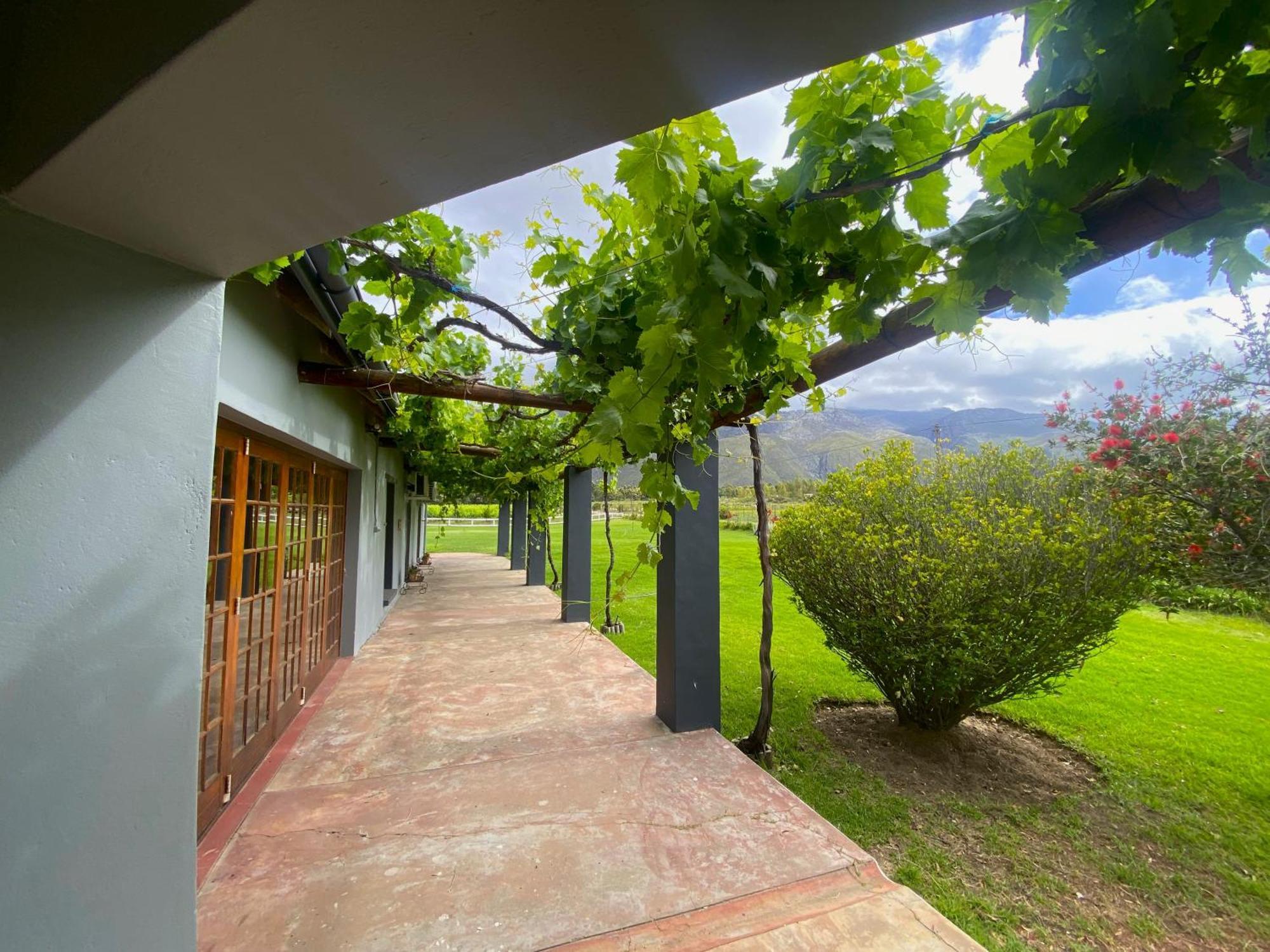 Hotel Oaksrest Vineyards Guest Farm Ladismith Exterior foto