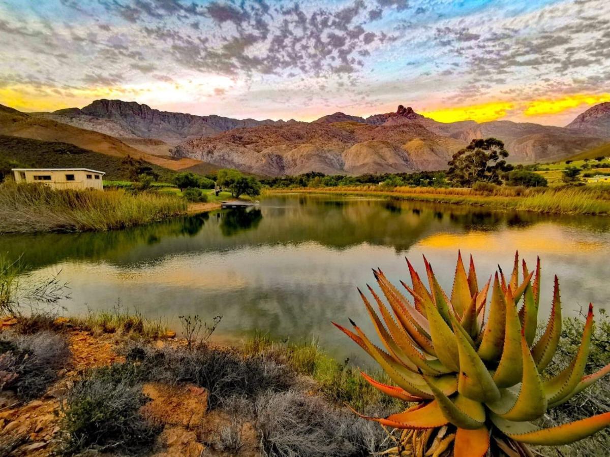 Hotel Oaksrest Vineyards Guest Farm Ladismith Exterior foto